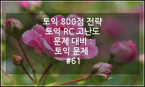 오늘의 이미지