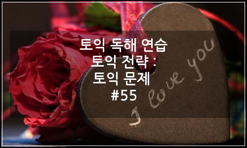 오늘의 이미지
