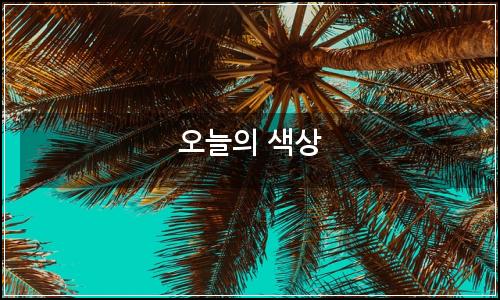 오늘의 이미지