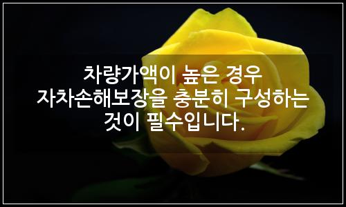 오늘의 이미지