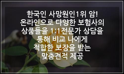 오늘의 이미지
