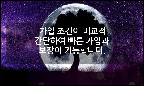 오늘의 이미지