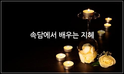 오늘의 이미지
