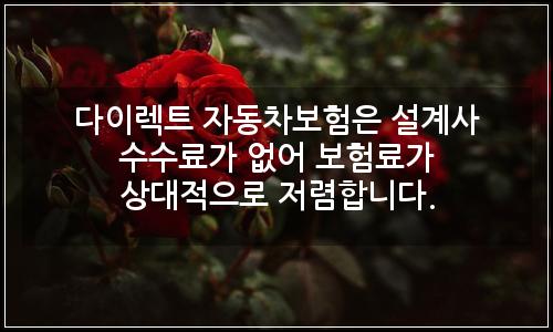 오늘의 이미지