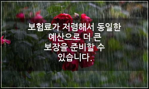 오늘의 이미지