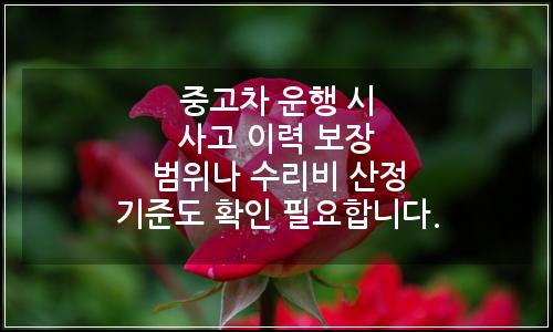 오늘의 이미지