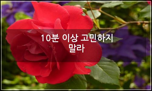 오늘의 이미지