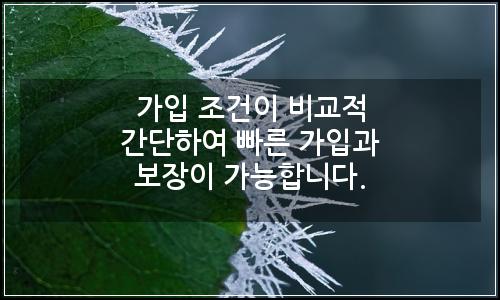 오늘의 이미지