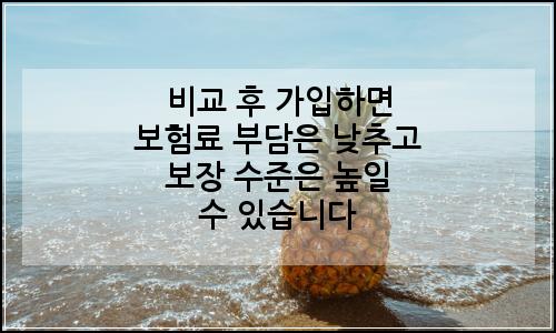 오늘의 이미지