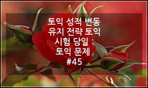 오늘의 이미지