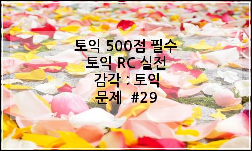 오늘의 이미지