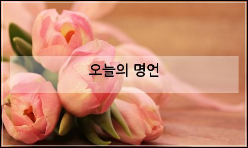 오늘의 이미지