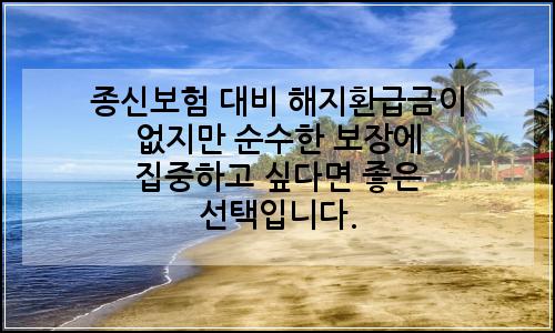 오늘의 이미지