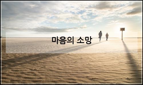 오늘의 이미지