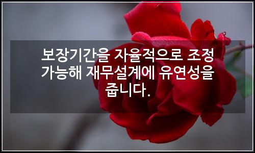 오늘의 이미지