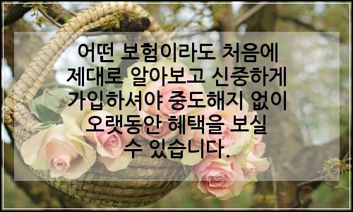 오늘의 이미지