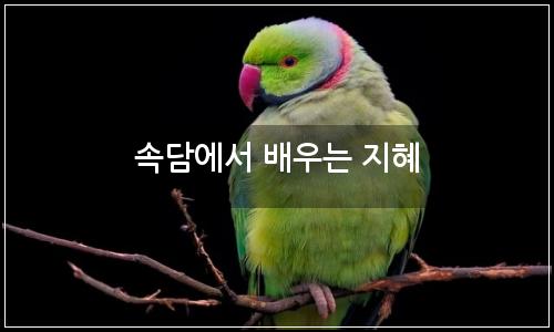 오늘의 이미지