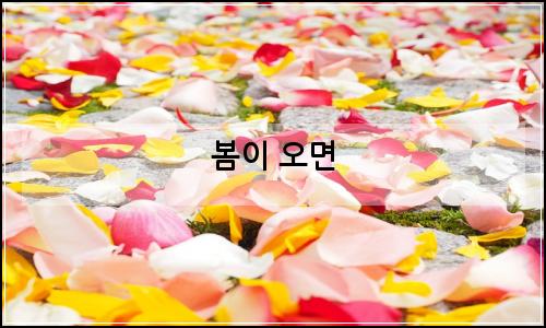 오늘의 이미지