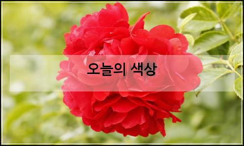 오늘의 이미지
