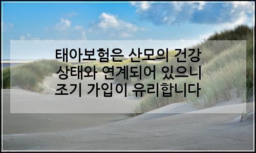 오늘의 이미지