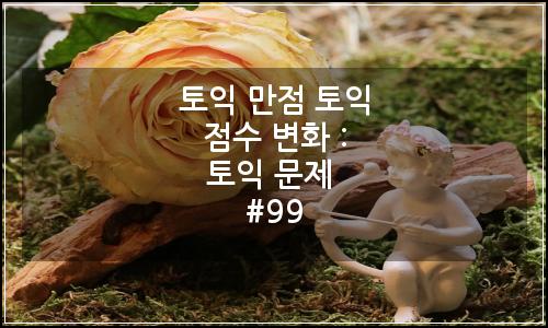 오늘의 이미지