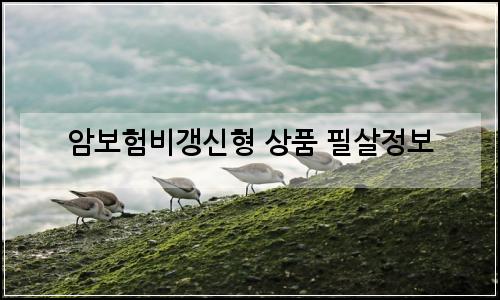 오늘의 이미지