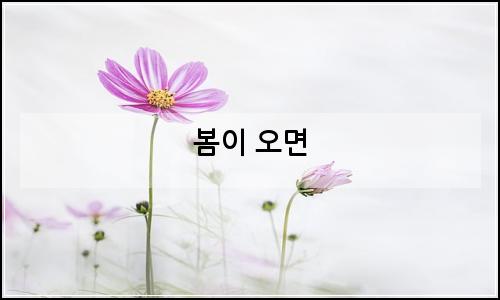오늘의 이미지