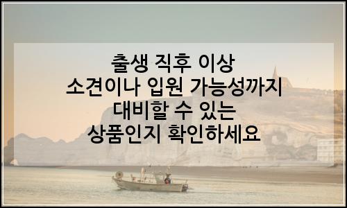 오늘의 이미지