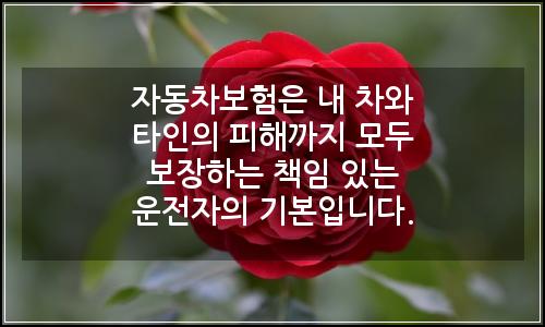 오늘의 이미지