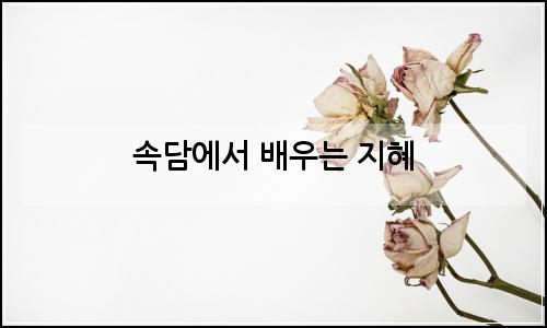 오늘의 이미지