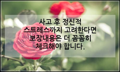 오늘의 이미지