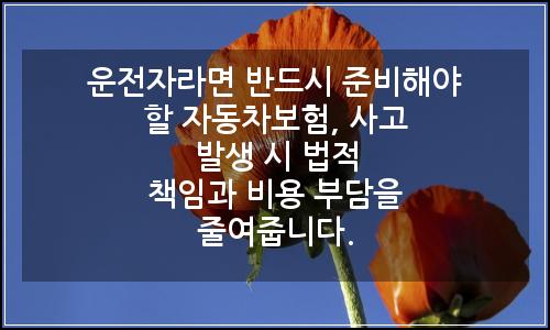 오늘의 이미지