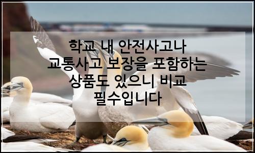 오늘의 이미지