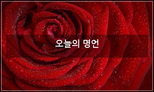 오늘의 이미지