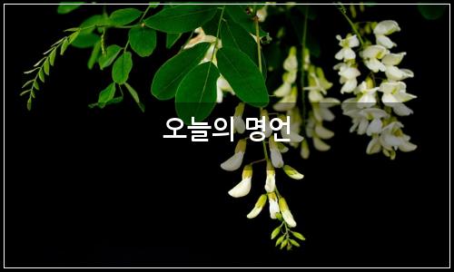 오늘의 이미지