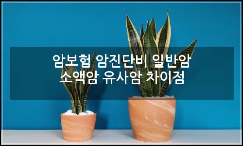 오늘의 이미지