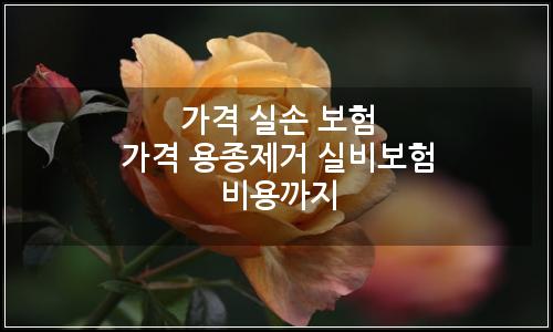 오늘의 이미지