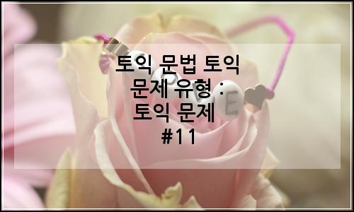 오늘의 이미지