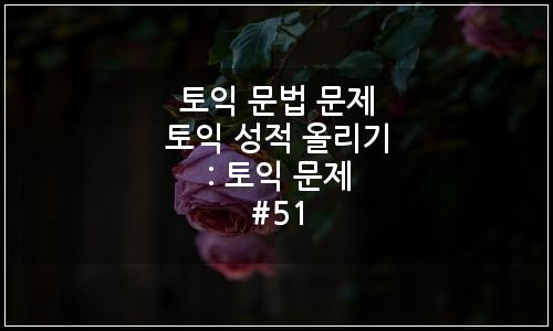 오늘의 이미지