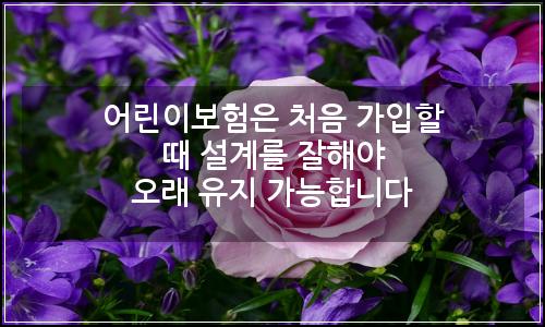 오늘의 이미지