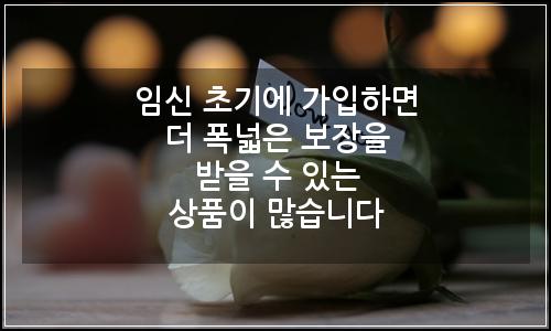 오늘의 이미지