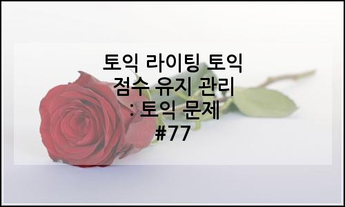 오늘의 이미지