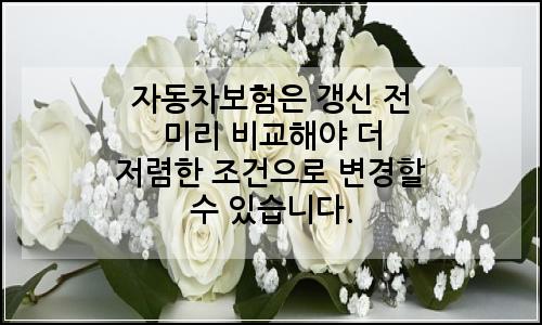 오늘의 이미지