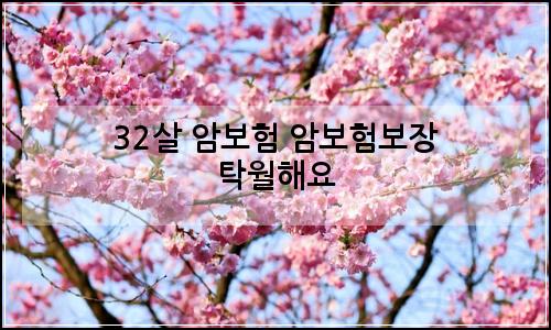 오늘의 이미지