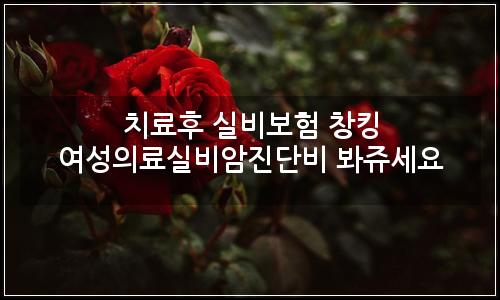 오늘의 이미지