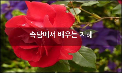 오늘의 이미지