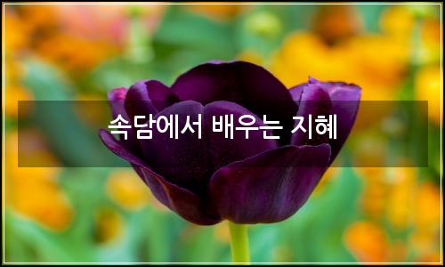 오늘의 이미지