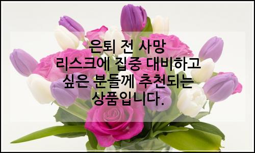 오늘의 이미지