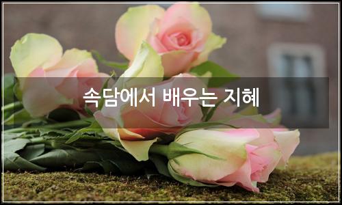 오늘의 이미지