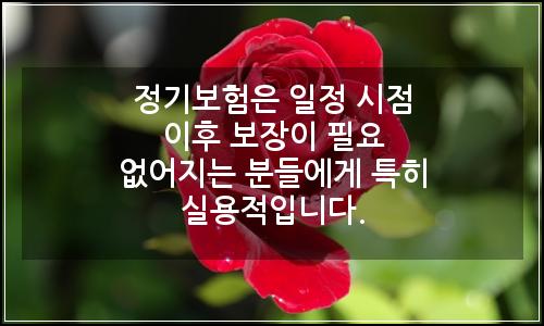 오늘의 이미지